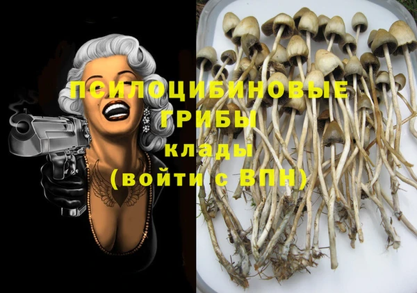 мдпв Володарск