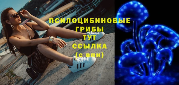 мдпв Володарск